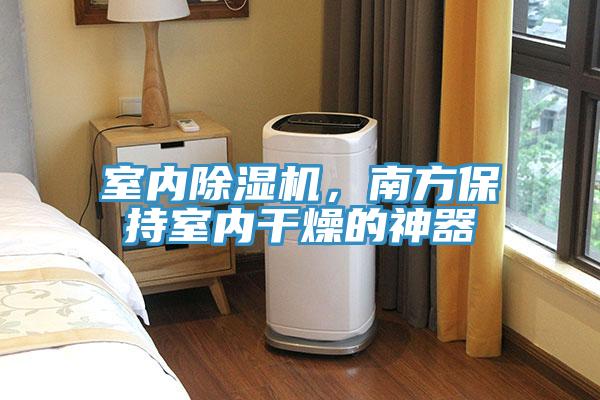 室內91看片软件大全，南方保持室內幹燥的神器