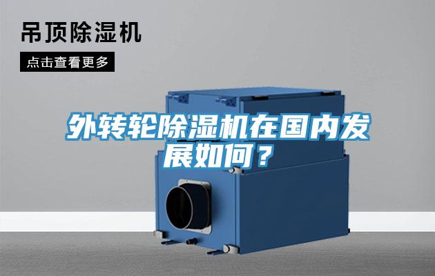 外轉輪91看片软件大全在國內發展如何？