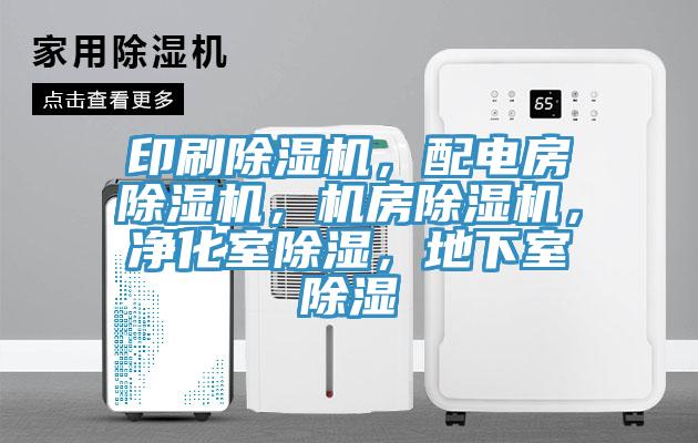 印刷91看片软件大全，配電房91看片软件大全，機房91看片软件大全，淨化室除濕，地下室除濕