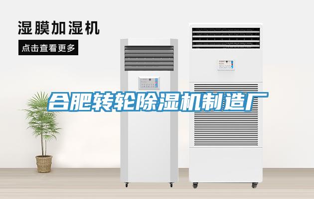 合肥轉輪91看片软件大全製造廠
