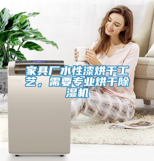 家具廠水性漆烘幹工藝，需要專業烘幹91看片软件大全
