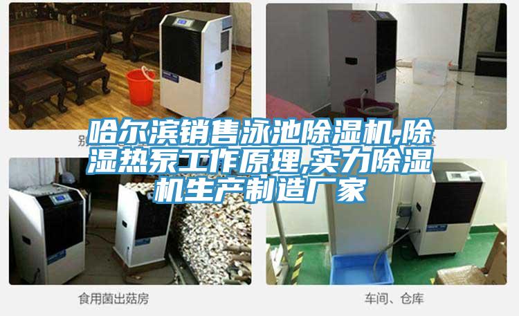 哈爾濱銷售泳池91看片软件大全,除濕熱泵工作原理,實力91看片软件大全生產製造廠家