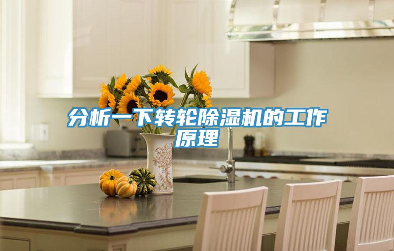 分析一下轉輪91看片软件大全的工作原理