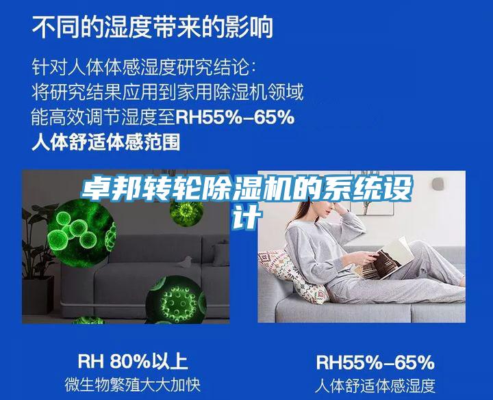 卓邦轉輪91看片软件大全的係統設計
