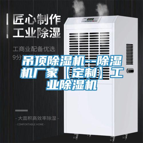 吊頂91看片软件大全--91看片软件大全廠家【定製】工業91看片软件大全