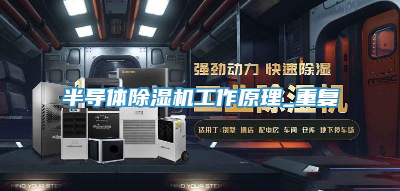 半導體91看片软件大全工作原理_重複