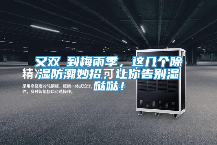 又雙叒到梅雨季，這幾個除濕防潮妙招，讓你告別濕噠噠！