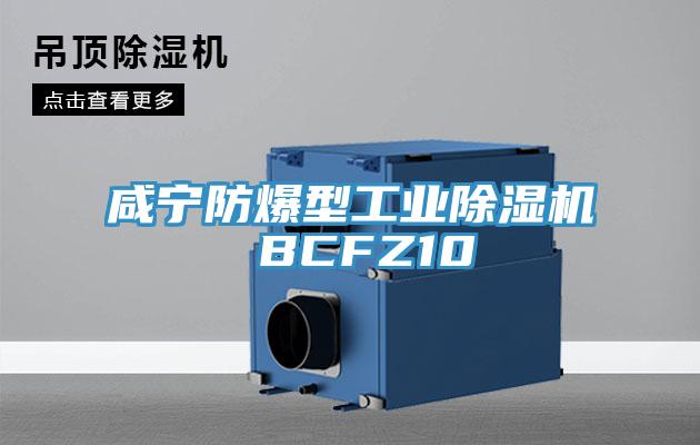 鹹寧防爆型工業91看片软件大全 BCFZ10