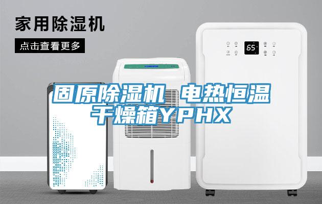 固原91看片软件大全 電熱恒溫幹燥箱YPHX