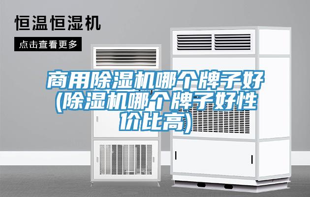 商用91看片软件大全哪個牌子好(91看片软件大全哪個牌子好性價比高)
