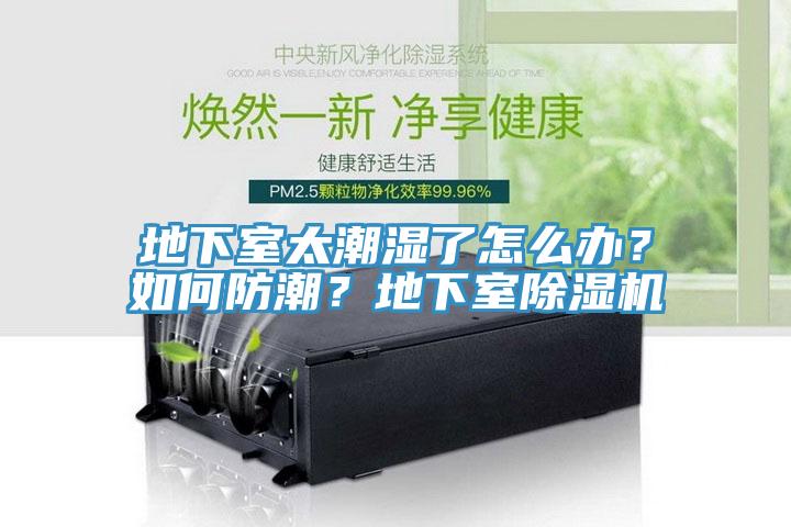 地下室太潮濕了怎麽辦？如何防潮？地下室91看片软件大全