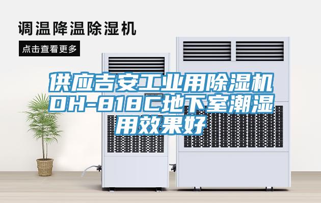 供應吉安工業用91看片软件大全DH-818C地下室潮濕用效果好