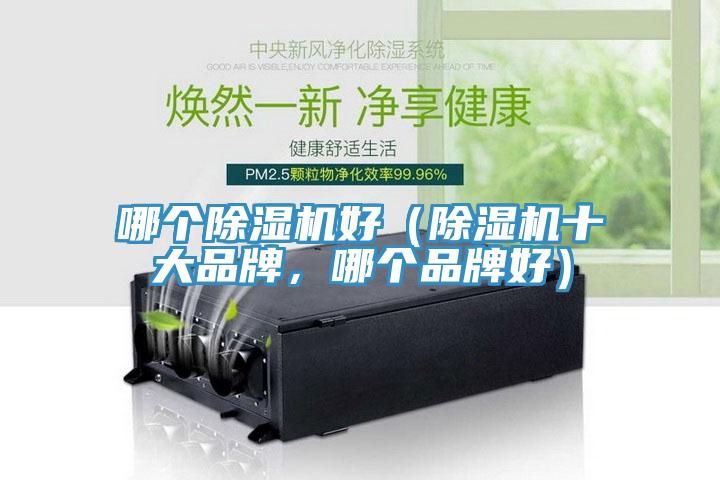 哪個91看片软件大全好（91看片软件大全十大品牌，哪個品牌好）