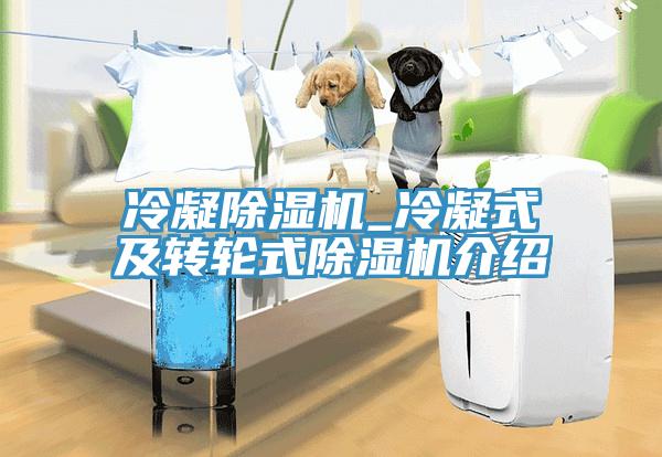 冷凝91看片软件大全_冷凝式及轉輪式91看片软件大全介紹