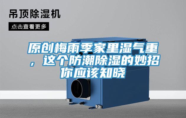 原創梅雨季家裏濕氣重，這個防潮除濕的妙招你應該知曉