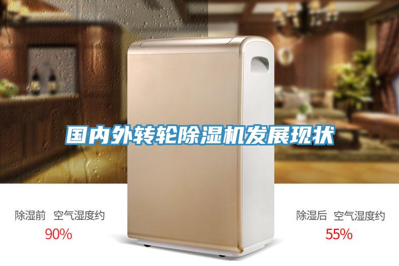 國內外轉輪91看片软件大全發展現狀
