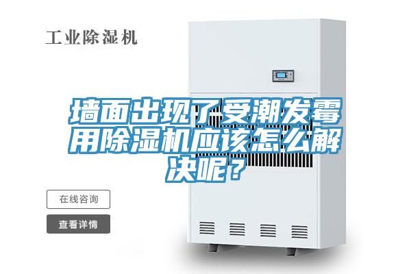 牆麵出現了受潮發黴用91看片软件大全應該怎麽解決呢？