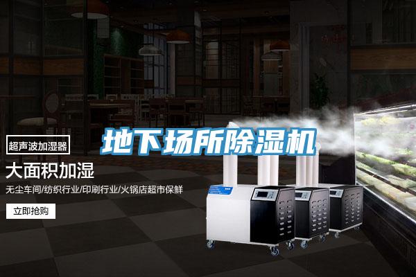 地下場所91看片软件大全