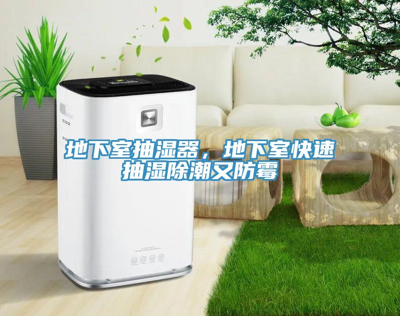 地下室抽濕器，地下室快速抽濕除潮又防黴