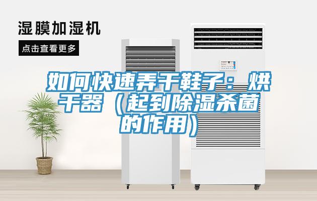 如何快速弄幹鞋子：烘幹器（起到除濕殺菌的作用）