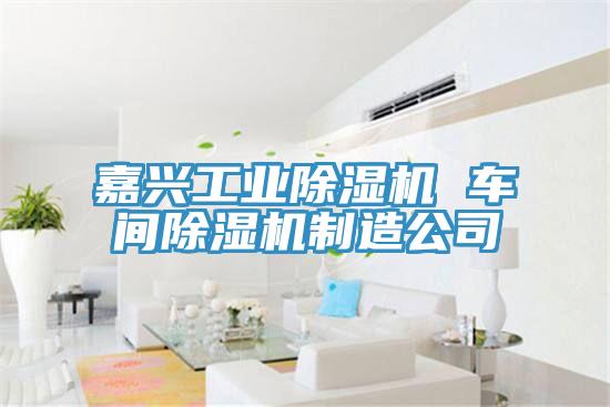 嘉興工業91看片软件大全 車間91看片软件大全製造公司