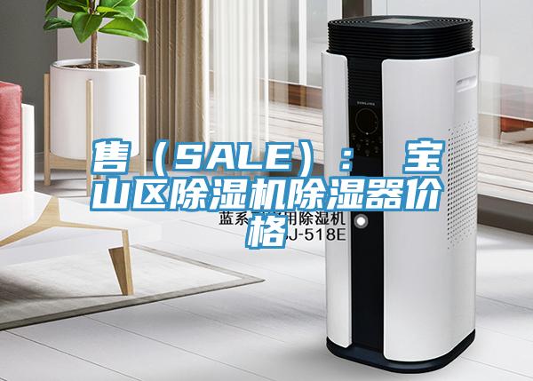 售（SALE）： 寶山區91看片软件大全除濕器價格
