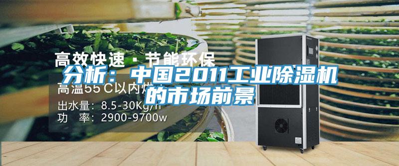 分析：中國2011工業91看片软件大全的市場前景