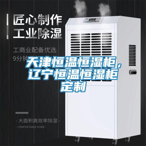 天津恒溫恒濕櫃，遼寧恒溫恒濕櫃定製