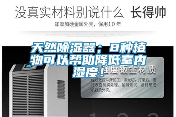 天然除濕器；8種植物可以幫助降低室內濕度！