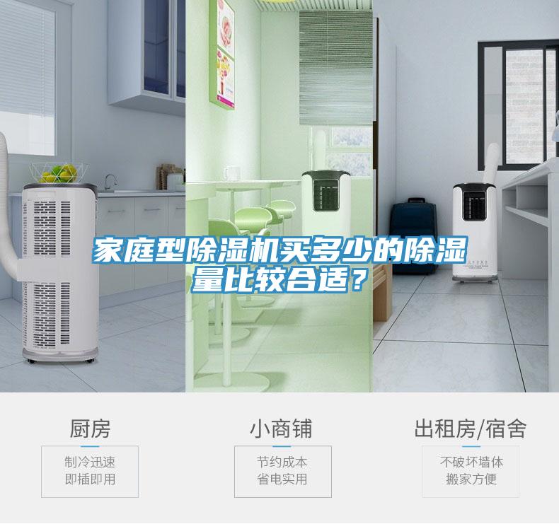 家庭型91看片软件大全買多少的除濕量比較合適？