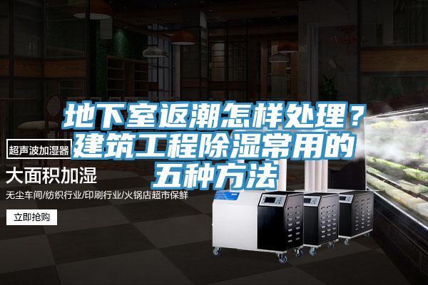 地下室返潮怎樣處理？建築工程除濕常用的五種方法
