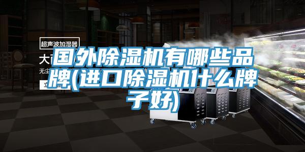 國外91看片软件大全有哪些品牌(進口91看片软件大全什麽牌子好)