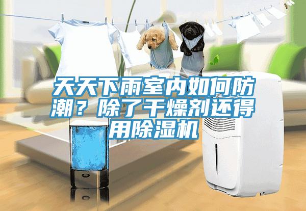 天天下雨室內如何防潮？除了幹燥劑還得用91看片软件大全