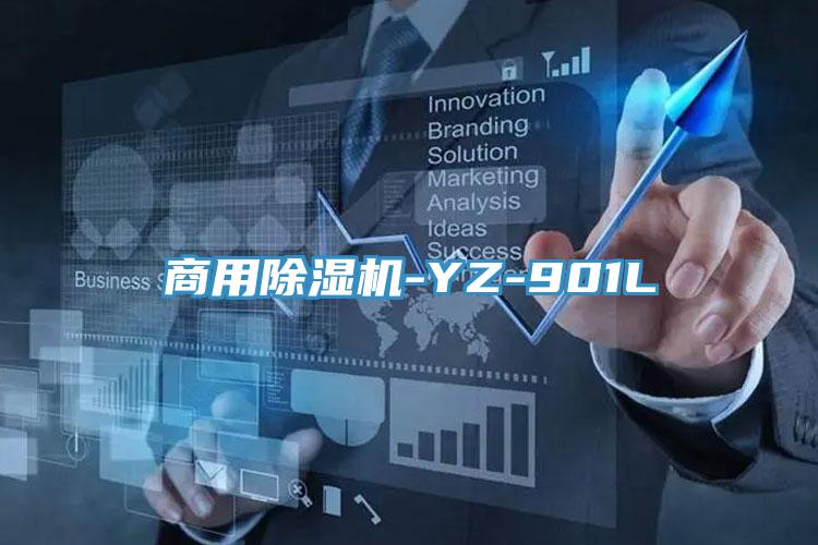 商用91看片软件大全-YZ-901L