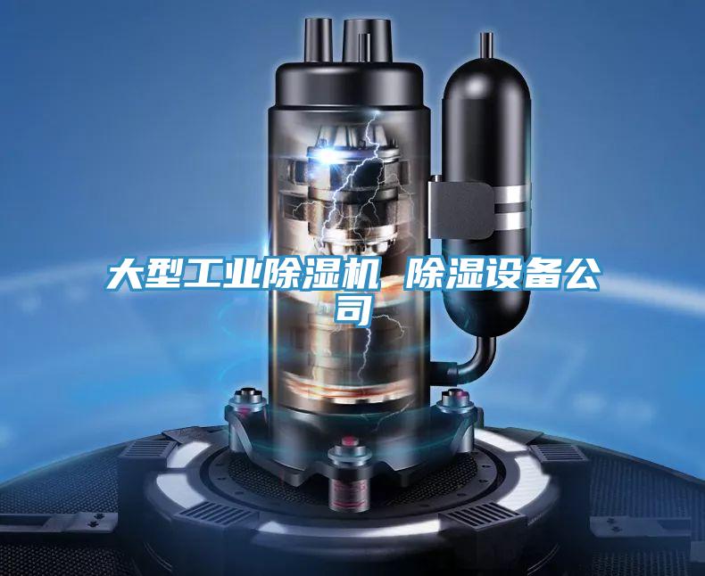 大型工業91看片软件大全 除濕設備公司