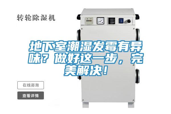 地下室潮濕發黴有異味？做好這一步，完美解決！