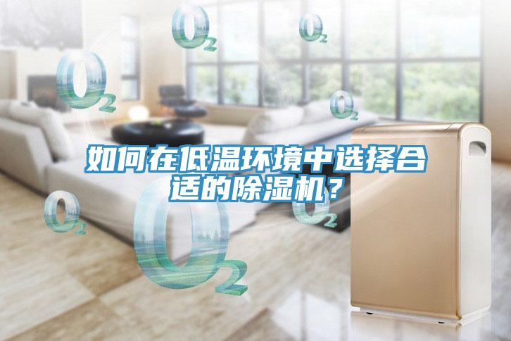如何在低溫環境中選擇合適的91看片软件大全？