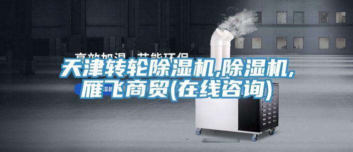 天津轉輪91看片软件大全,91看片软件大全,雁飛商貿(在線谘詢)