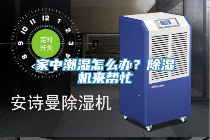 家中潮濕怎麽辦？91看片软件大全來幫忙