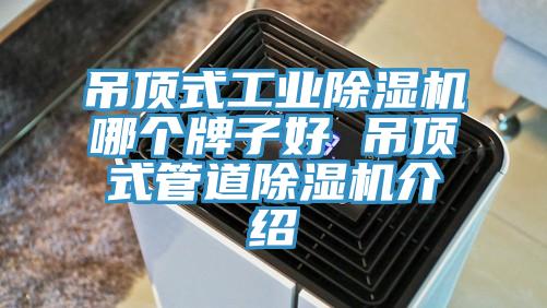 吊頂式工業91看片软件大全哪個牌子好 吊頂式管道91看片软件大全介紹