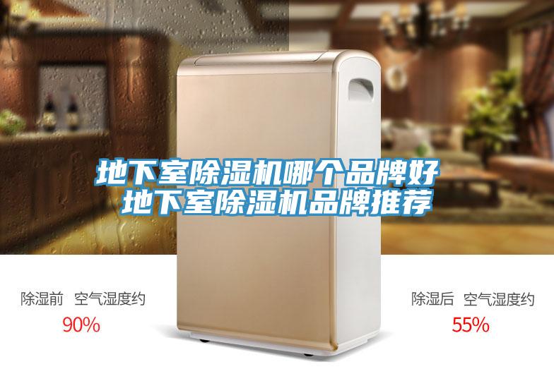 地下室91看片软件大全哪個品牌好 地下室91看片软件大全品牌推薦