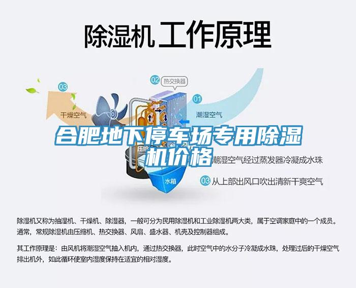 合肥地下停車場專用91看片软件大全價格