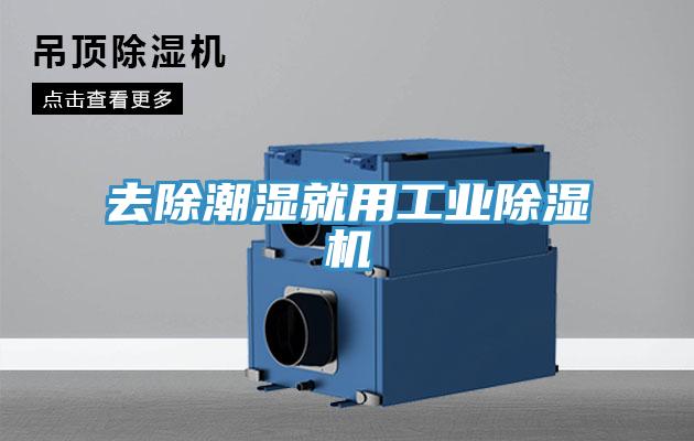 去除潮濕就用工業91看片软件大全