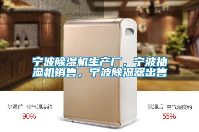 寧波91看片软件大全生產廠，寧波抽濕機銷售，寧波除濕器出售