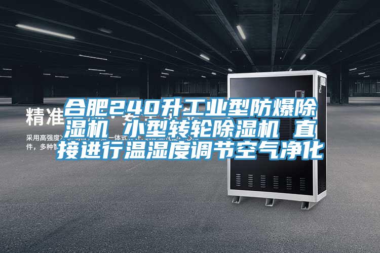 合肥240升工業型防爆91看片软件大全 小型轉輪91看片软件大全 直接進行溫濕度調節空氣淨化