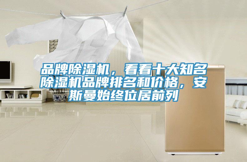 品牌91看片软件大全，看看十大知名91看片软件大全品牌排名和價格，安斯曼始終位居前列