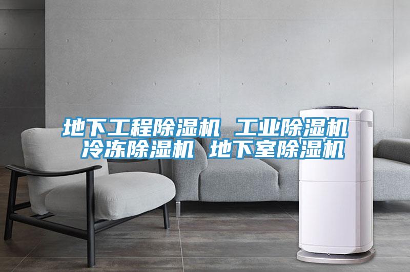 地下工程91看片软件大全 工業91看片软件大全 冷凍91看片软件大全 地下室91看片软件大全