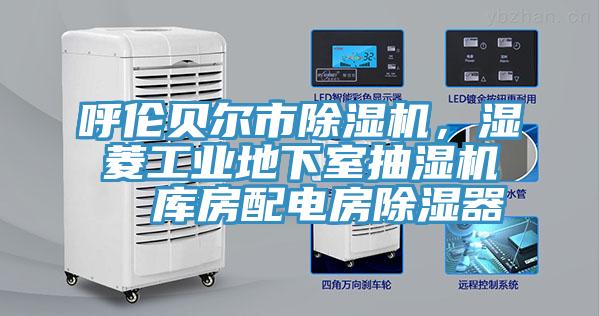 呼倫貝爾市91看片软件大全，濕菱工業地下室抽濕機  庫房配電房除濕器