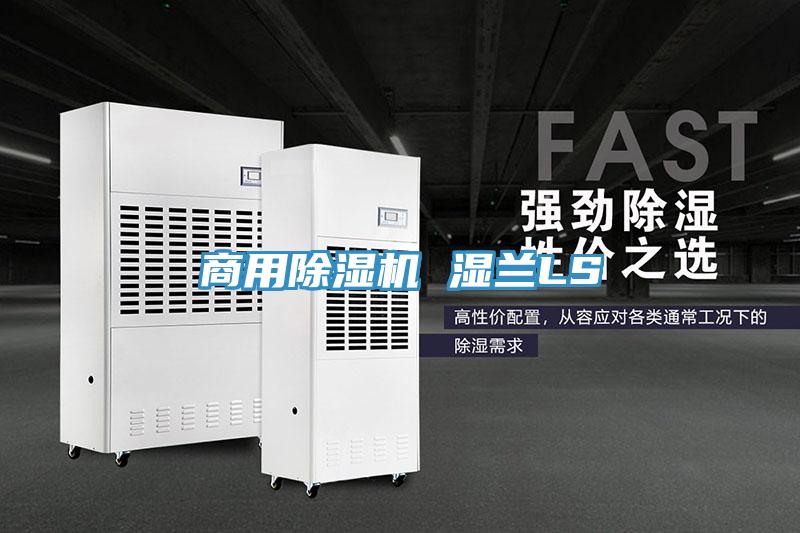 商用91看片软件大全 濕蘭LS