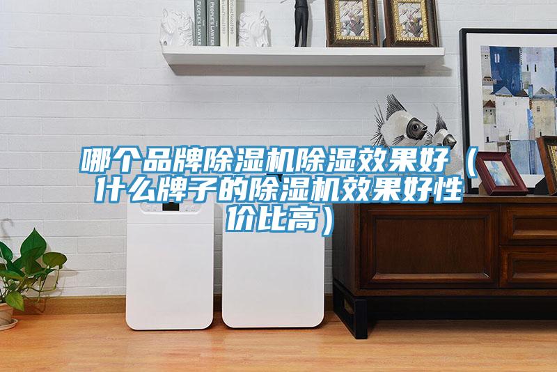 哪個品牌91看片软件大全除濕效果好（什麽牌子的91看片软件大全效果好性價比高）